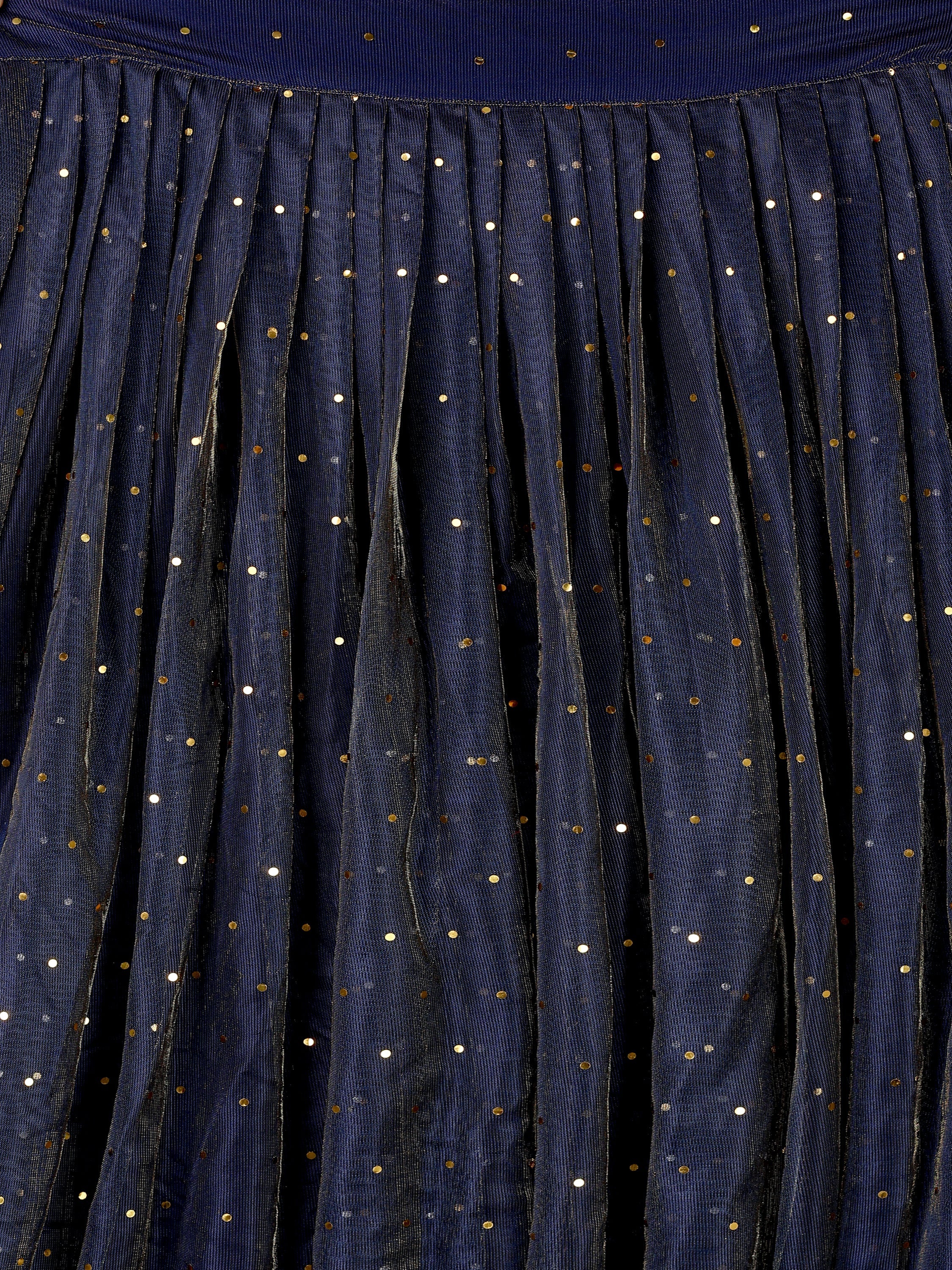 Sequences Navy Blue Lehenga Choli With Lycra Dupatta.